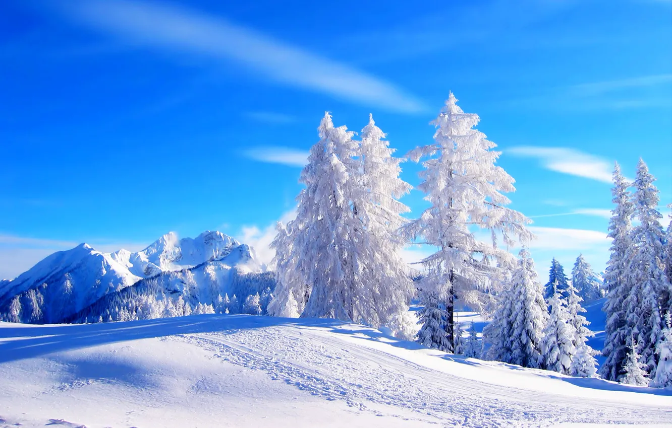 Photo wallpaper winter, road, forest, the sky, snow, trees, landscape, mountains