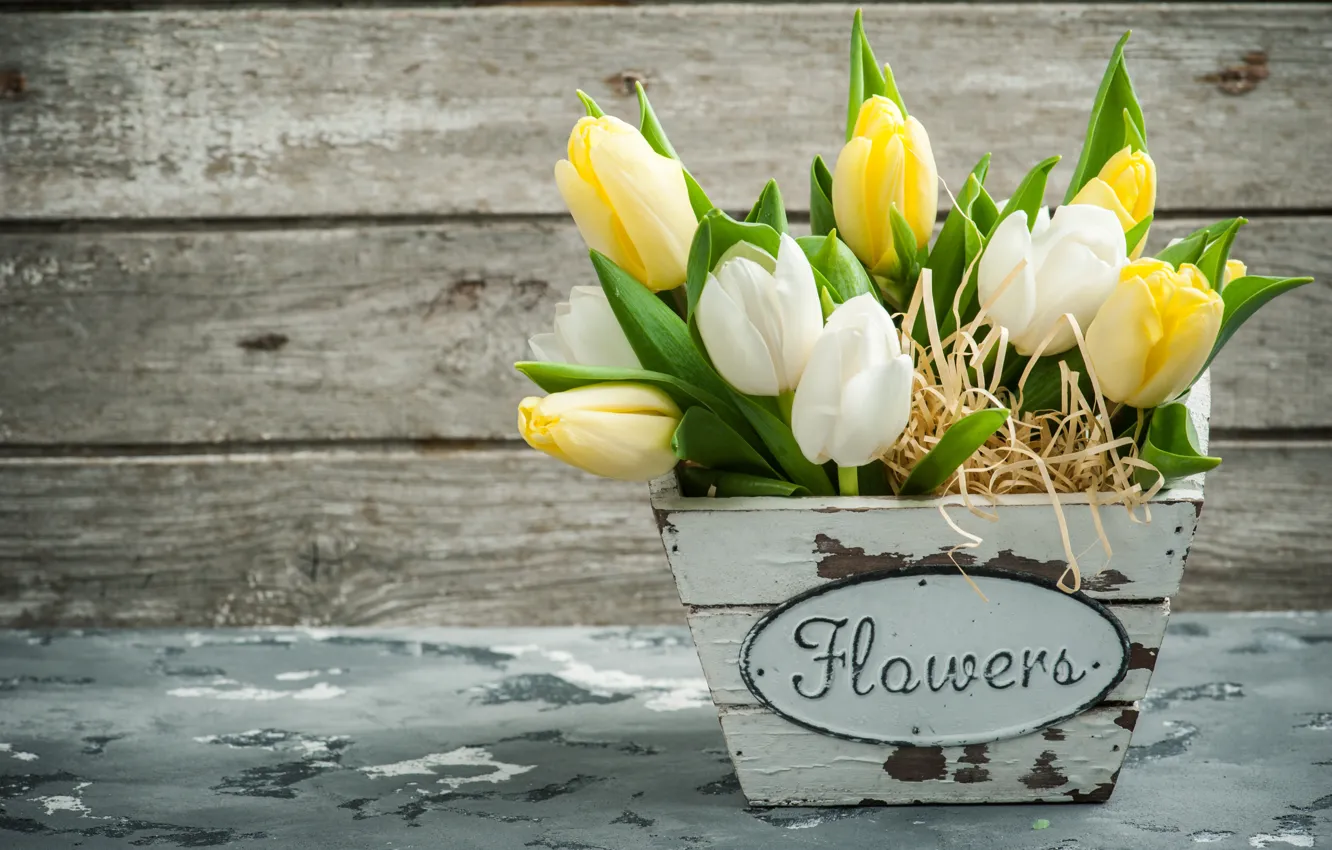 Photo wallpaper yellow, bouquet, tulips, white, THE OFF