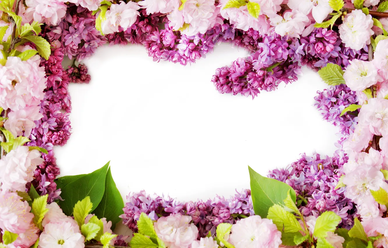 Photo wallpaper flowers, spring, flowering, flowers, lilac, spring, lilac bloom