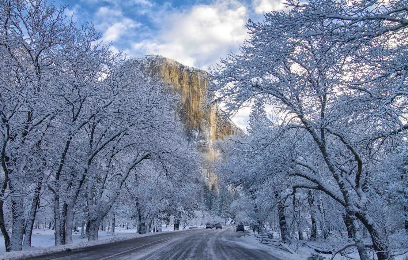 Photo wallpaper winter, nature, Yosemite National Park, The Captain