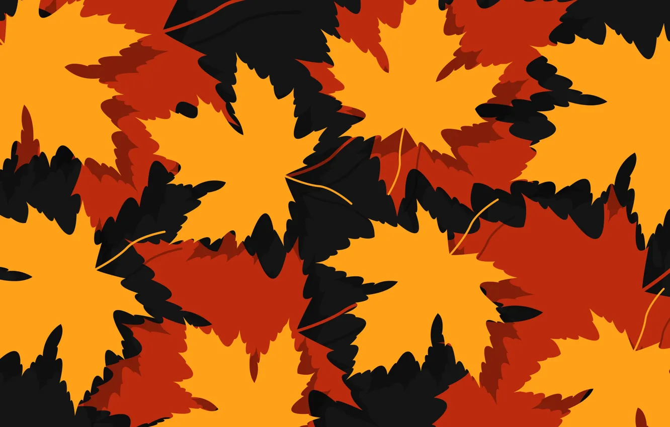 Photo wallpaper autumn, leaves, autumn, foliage