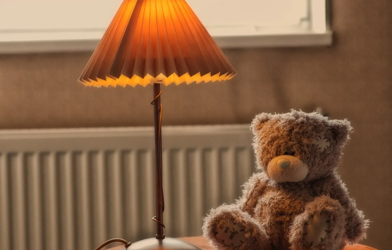 Photo wallpaper toy, lamp, bear, bear, teddy, Teddy
