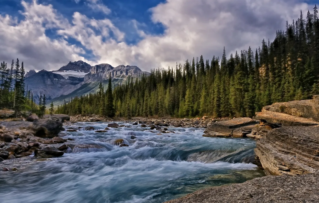 Photo wallpaper forest, trees, mountains, river, stones, Canada, Alberta, Canada