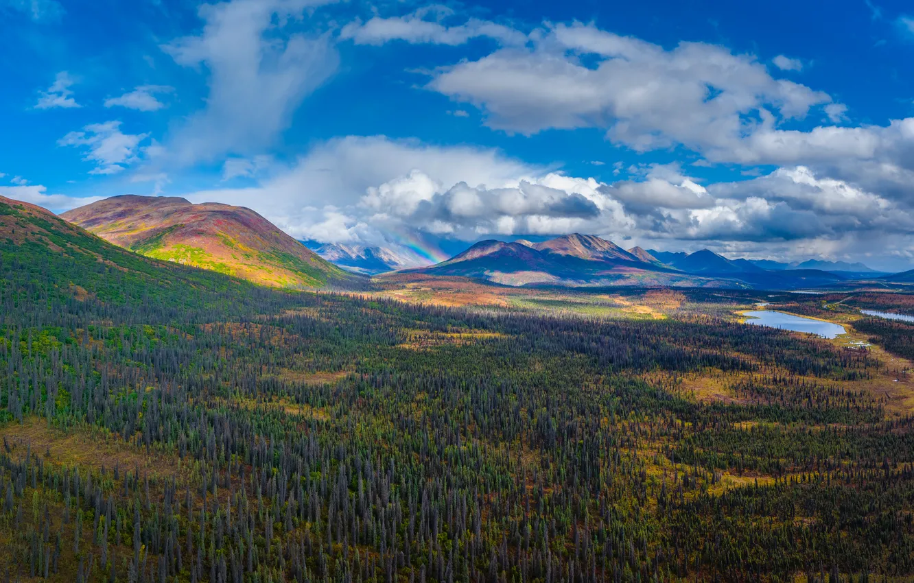 Photo wallpaper landscape, mountains, panorama, USA, Denali National Park