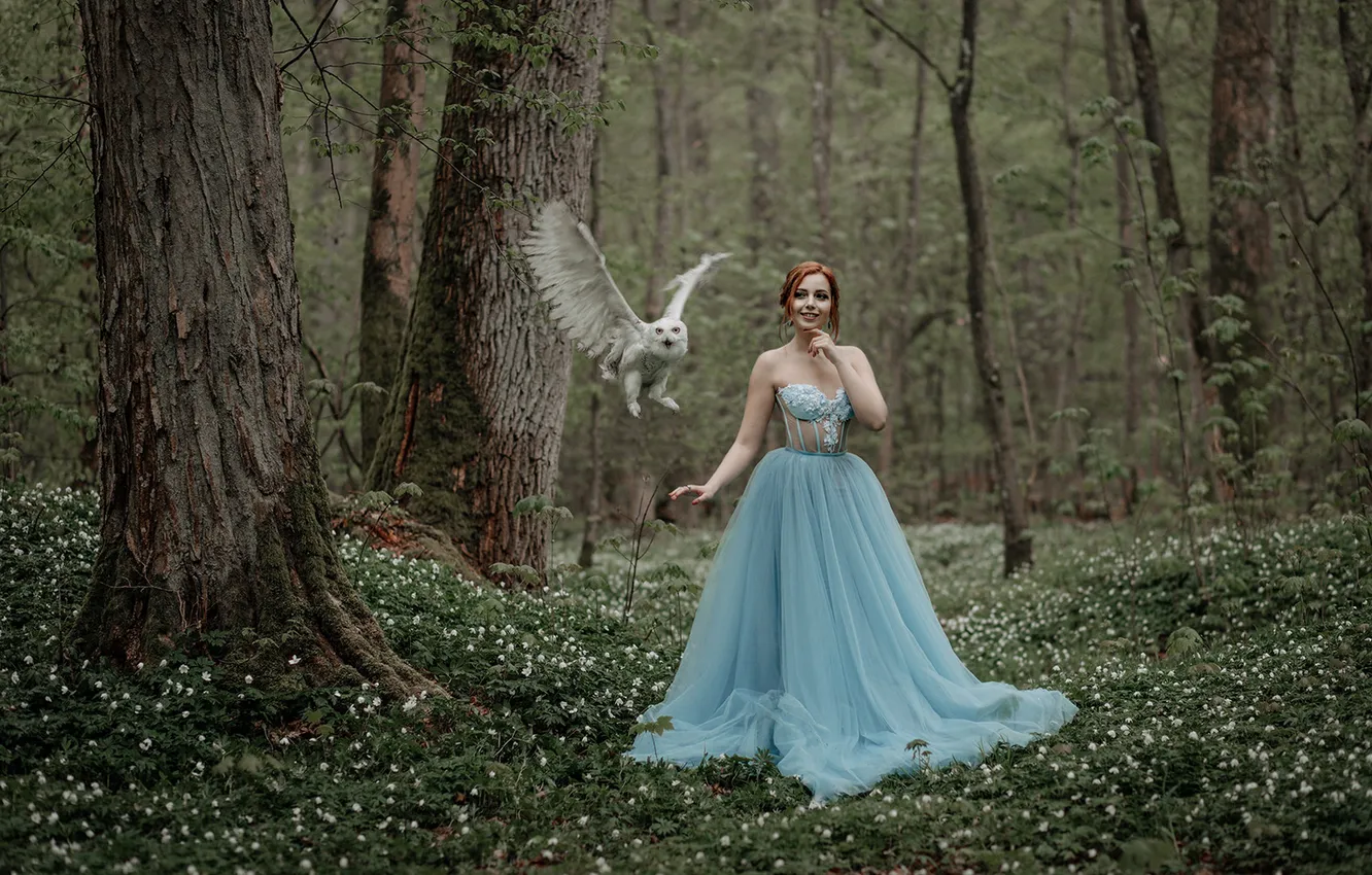 Photo wallpaper forest, girl, flowers, owl, bird, glade, spring, dress