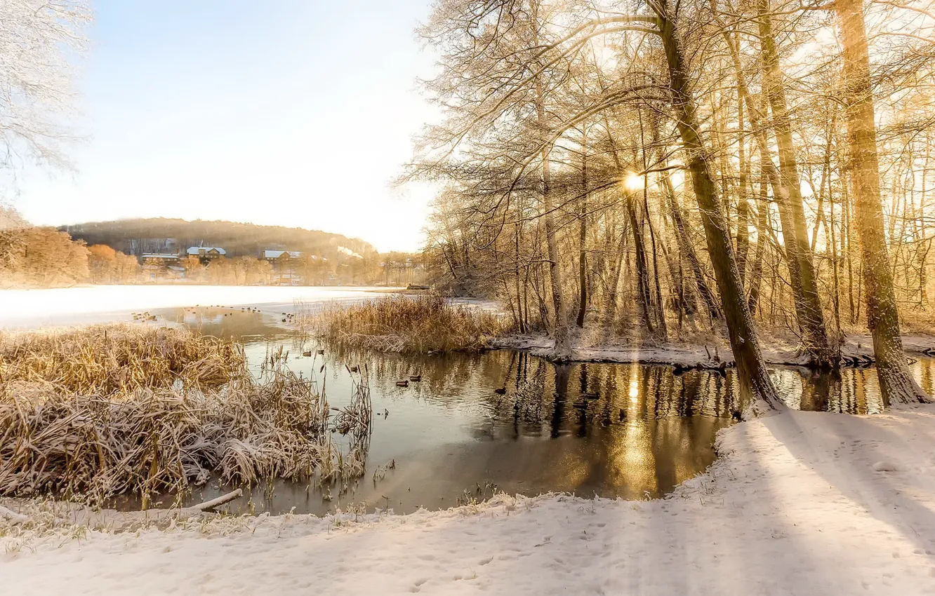 Photo wallpaper winter, nature, lake