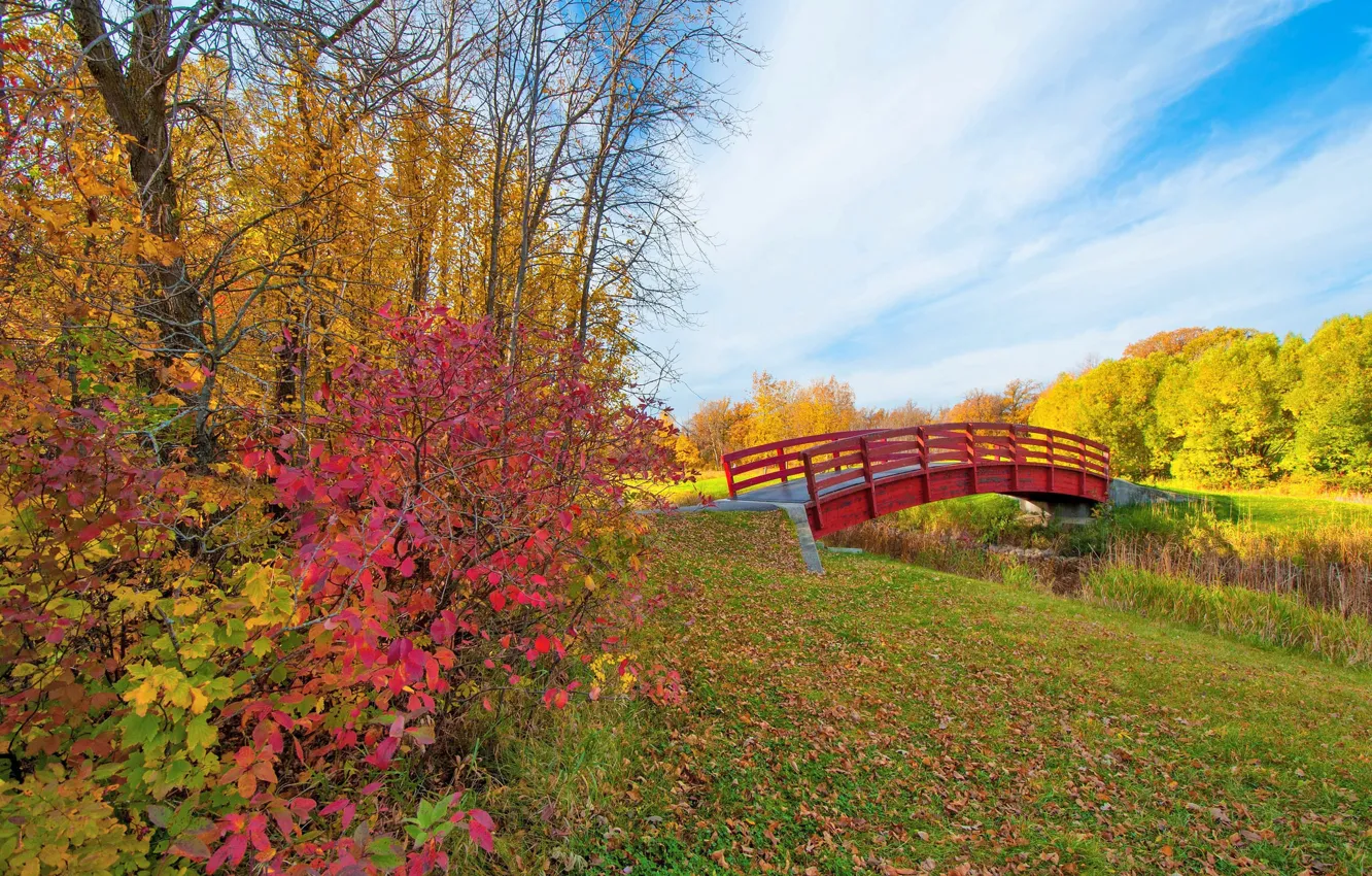 Photo wallpaper autumn, the sky, leaves, clouds, trees, Park, stream, the bridge