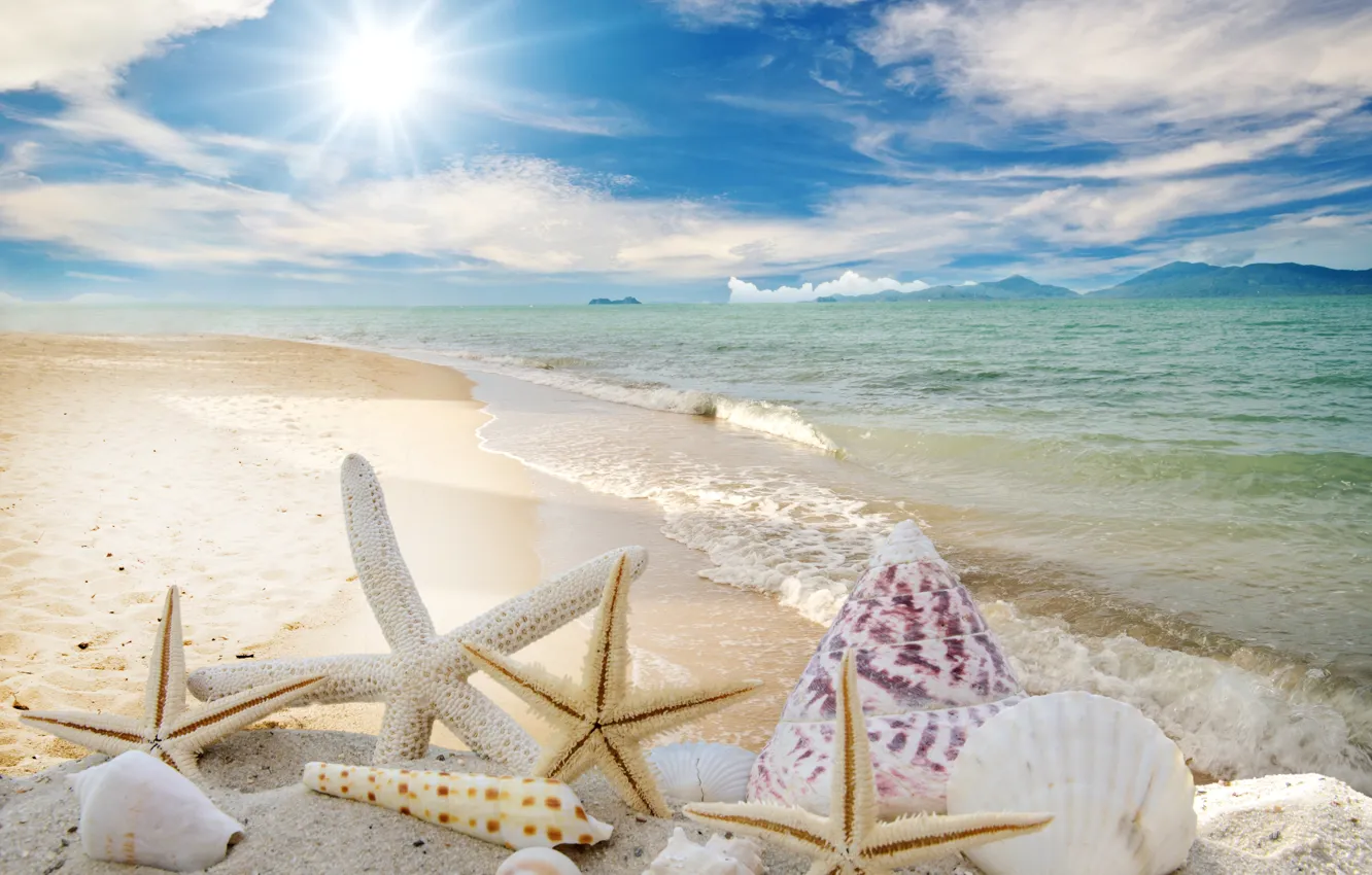 Photo wallpaper sand, sea, beach, the sun, stars, shell, summer, sunshine