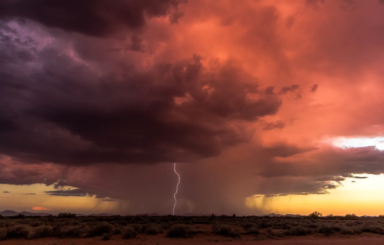 Photo wallpaper the storm, the sky, sunset, clouds, lightning, plain, bad weather, the bushes
