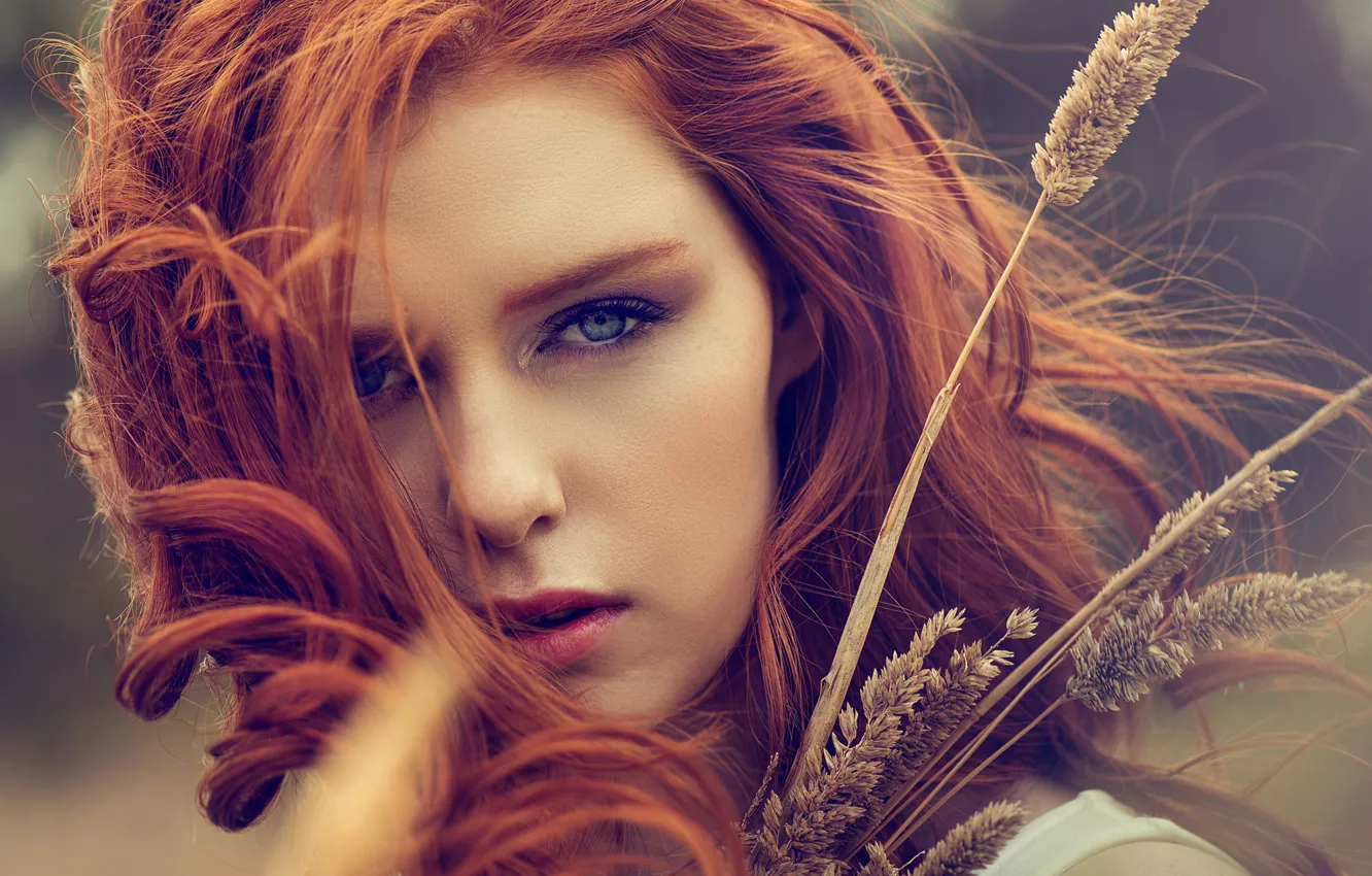 Photo wallpaper sponge, redhead, bokeh, An La