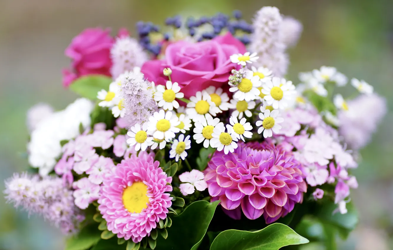 Photo wallpaper flowers, roses, chamomile, bouquet, different, dahlias, asters