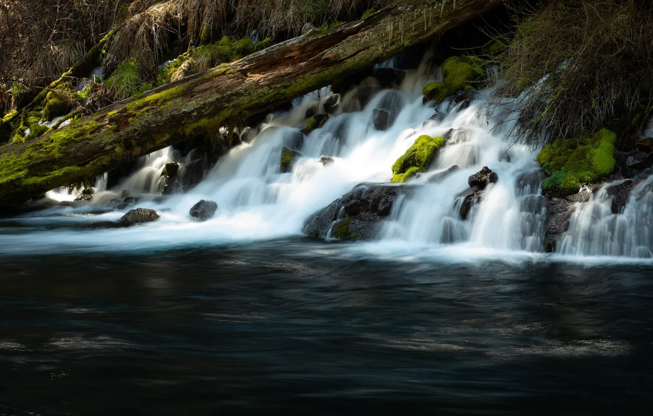 Photo wallpaper river, stones, waterfall, log