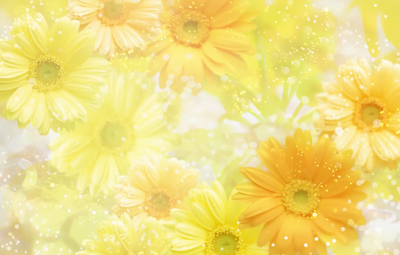 Photo wallpaper flowers, yellow, background, yellow, flowers