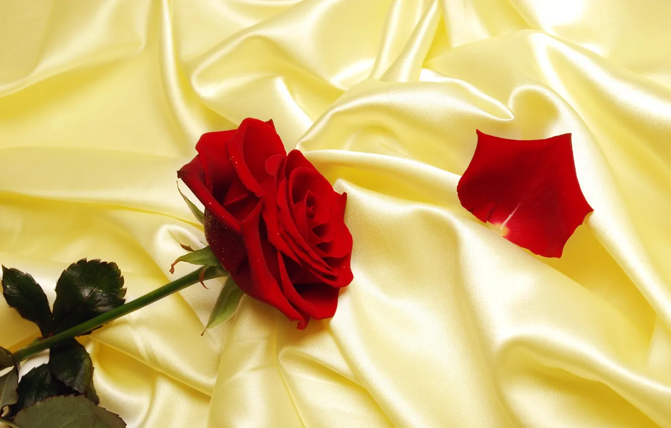 Photo wallpaper yellow, red, roses, petals, fabric, Atlas