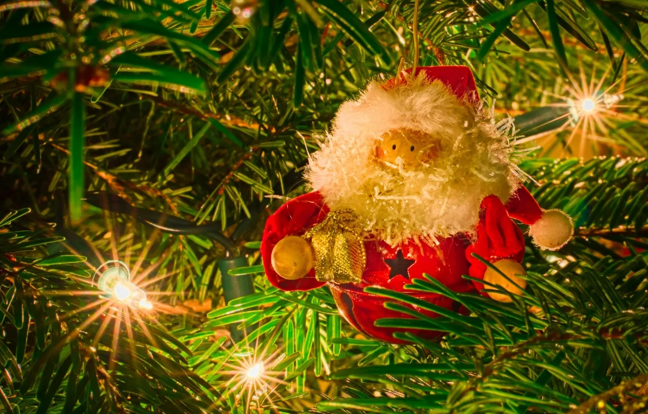 Photo wallpaper needles, tree, Santa Claus, garland, light bulb