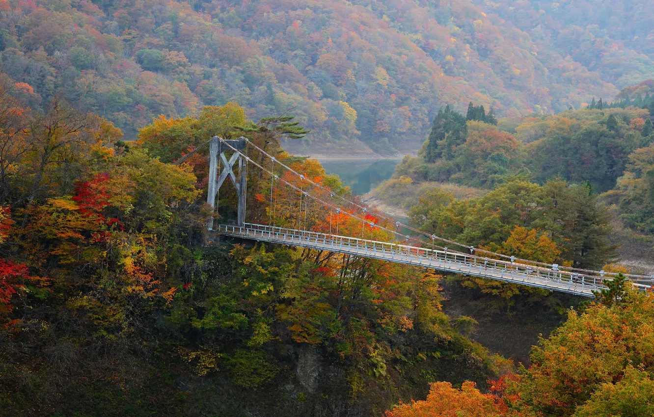 Photo wallpaper autumn, forest, trees, mountains, bridge, river, slope