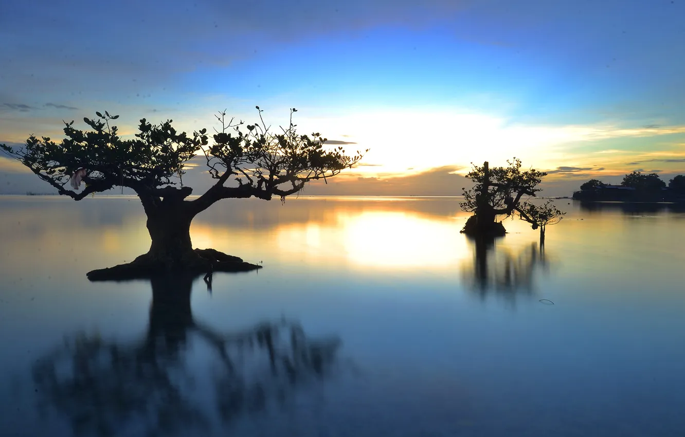 Photo wallpaper the sky, clouds, trees, lake, the evening, glow