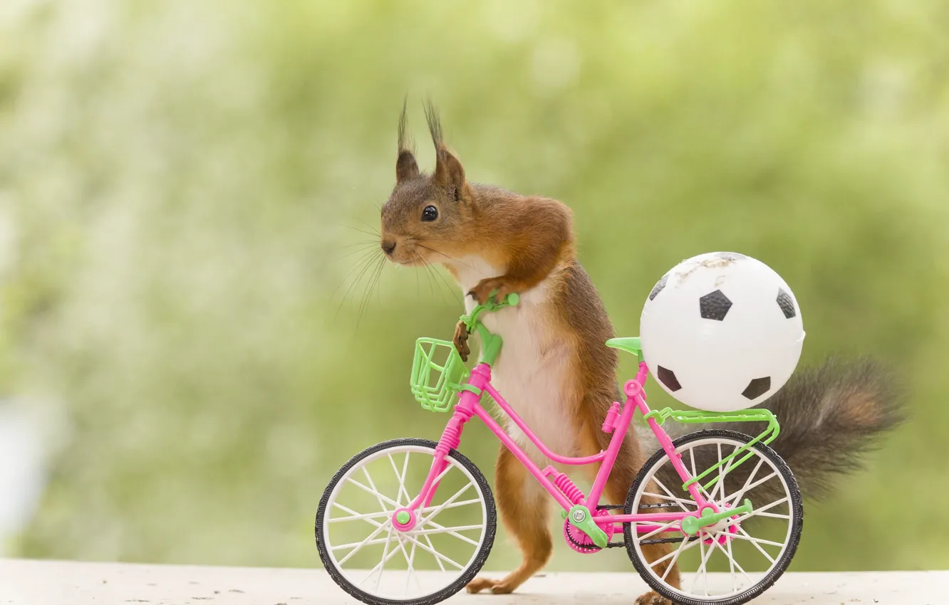 Photo wallpaper bike, pose, background, the ball, protein, soccer ball, stand, cyclist