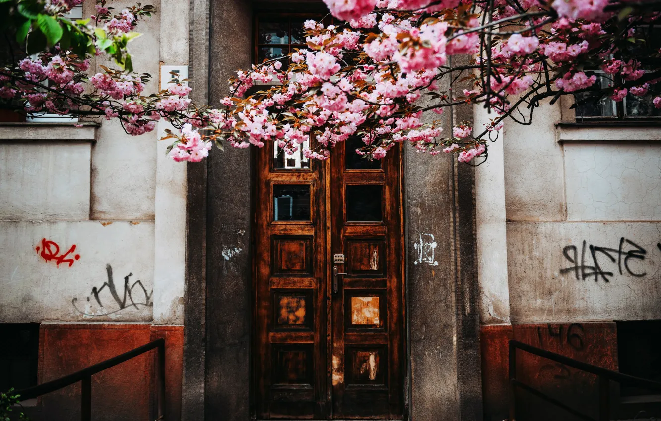 Photo wallpaper the sky, trees, home, the door, Cornelia Pavlyshyn
