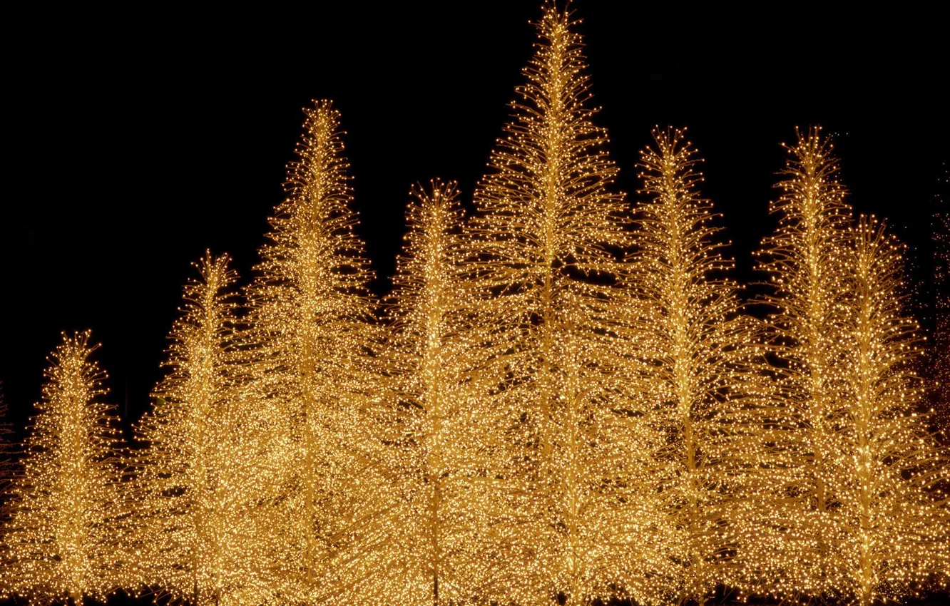 Photo wallpaper tree, new year, Christmas, lights