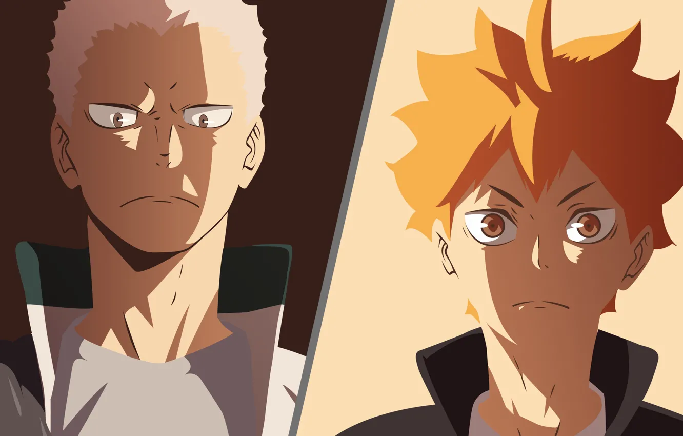 Photo wallpaper sport, guy, volleyball, HAIKYUU, Hinata,