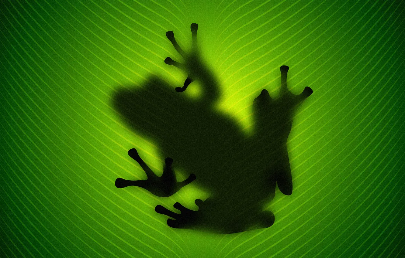 Photo wallpaper sheet, green, Frog