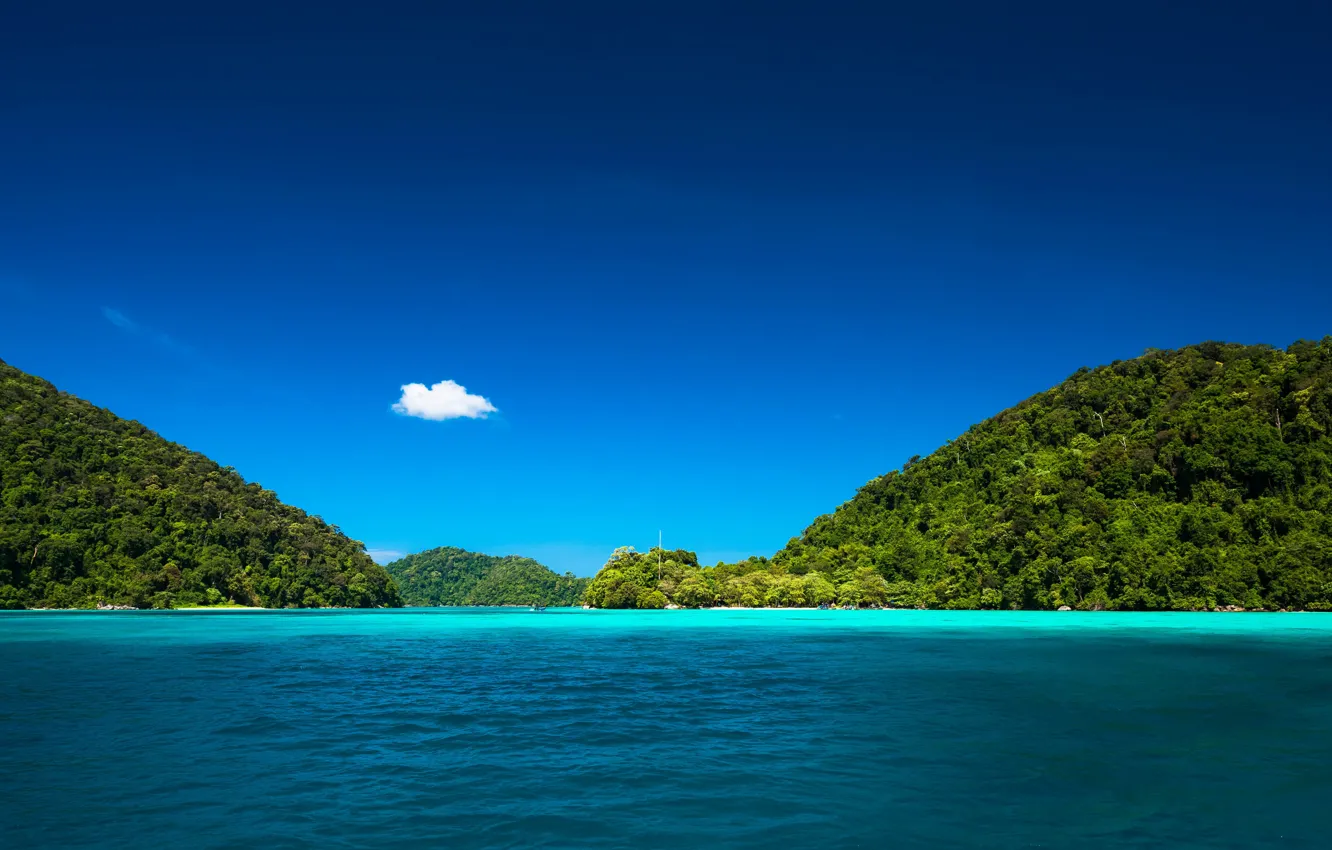 Photo wallpaper sea, beach, summer, trees, nature, tropics, stay, summer