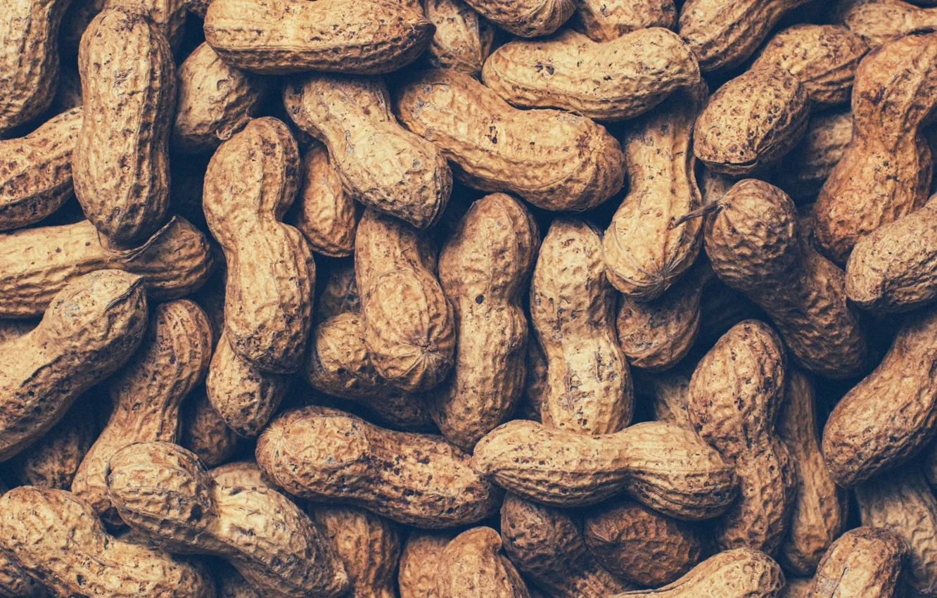 Photo wallpaper walnut, nuts, peanuts, peanuts