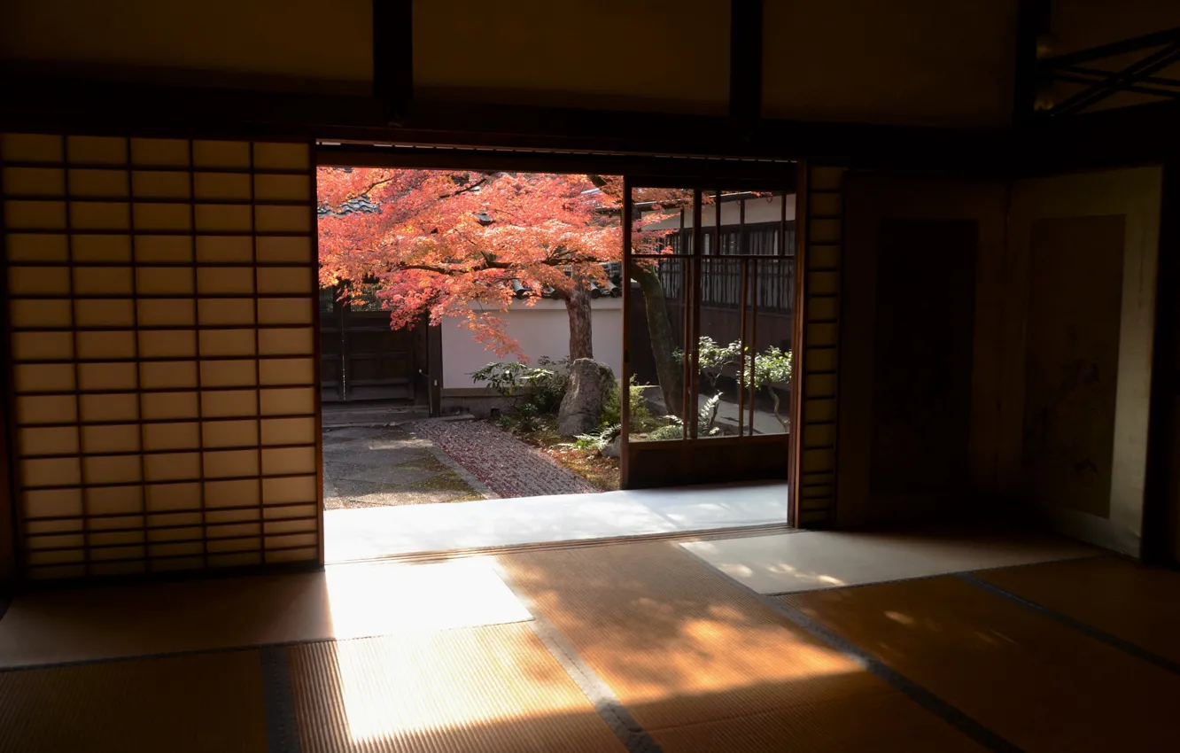 Photo wallpaper room, the door, pass