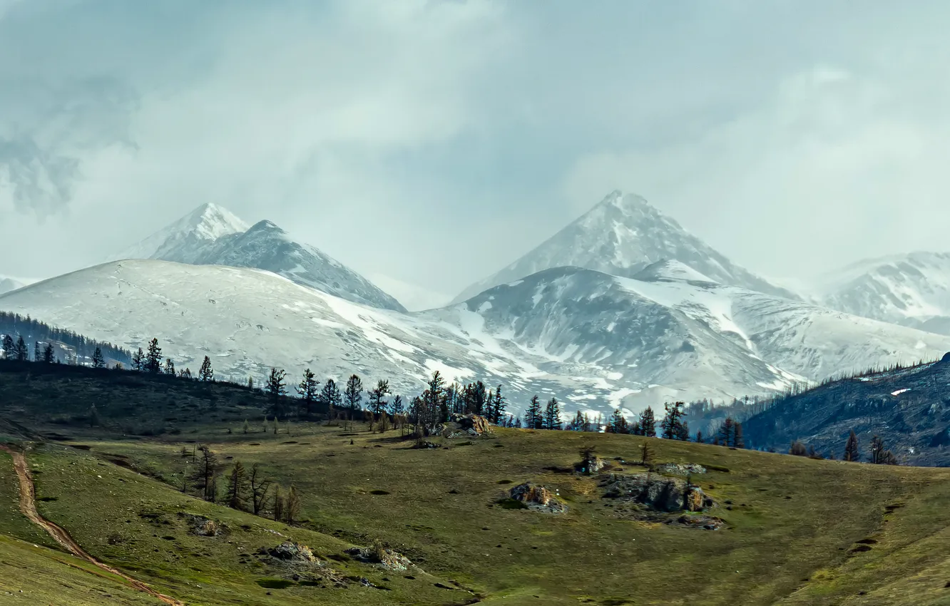 Photo wallpaper snow, trees, stones, valley, space, the beauty of nature, the tops of the mountains, The …