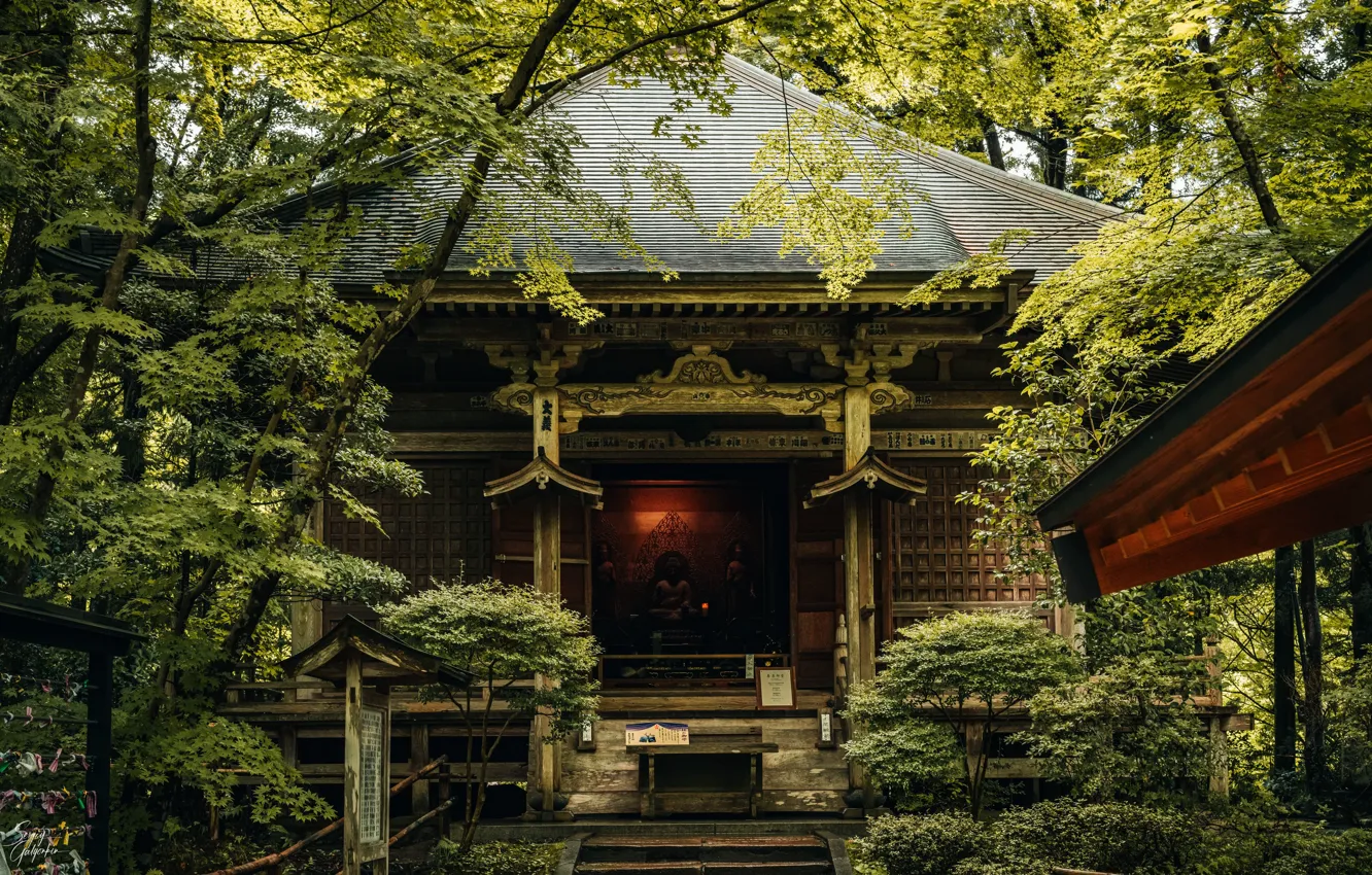 Photo wallpaper Japan, architecture, building, temple