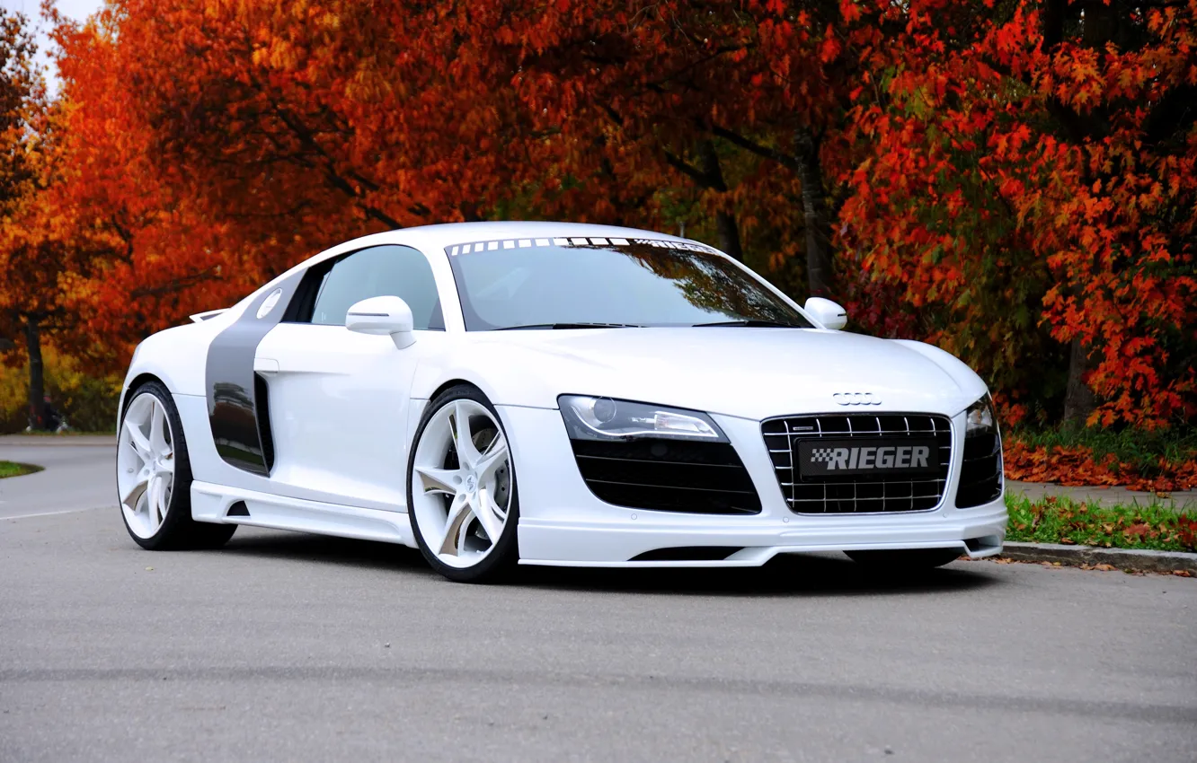 Photo wallpaper Audi, Audi, supercar, 2010, Rieger