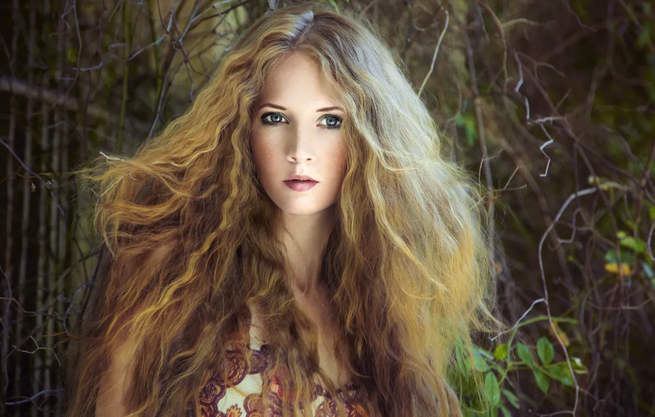 Photo wallpaper look, leaves, girl, branches, blonde, curls