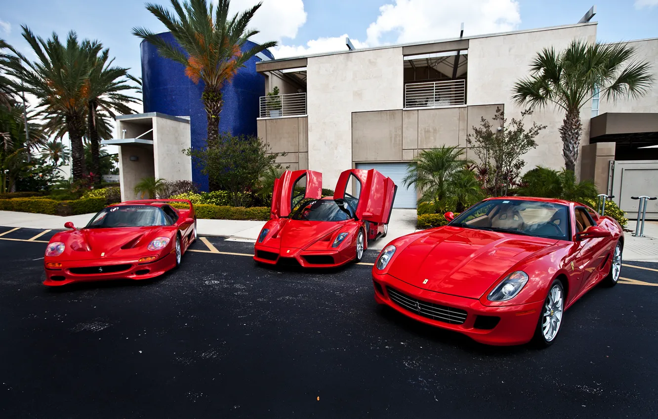 Photo wallpaper red, palm trees, the building, Ferrari, red, Ferrari, 599, enzo