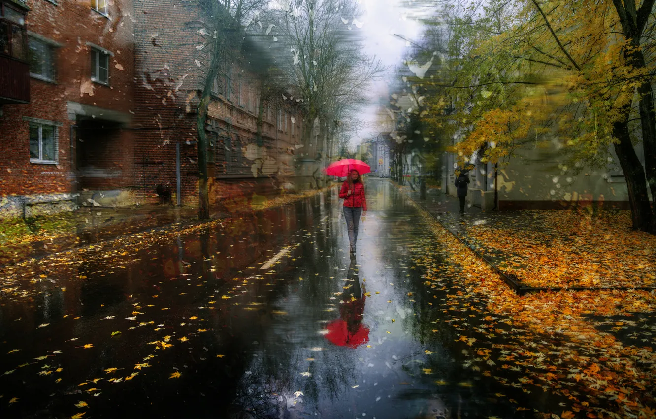 Photo wallpaper road, autumn, glass, girl, drops, trees, the city, rain