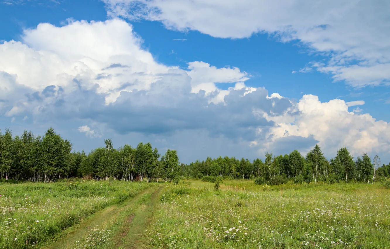 Photo wallpaper green, road, sky, trees, landscape, cloud, Air, Evgeny Makarov