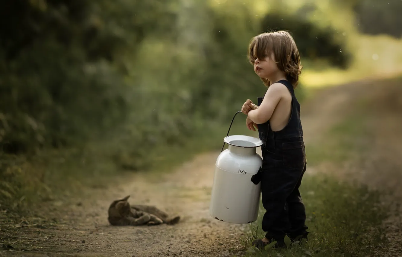 Photo wallpaper road, cat, boy