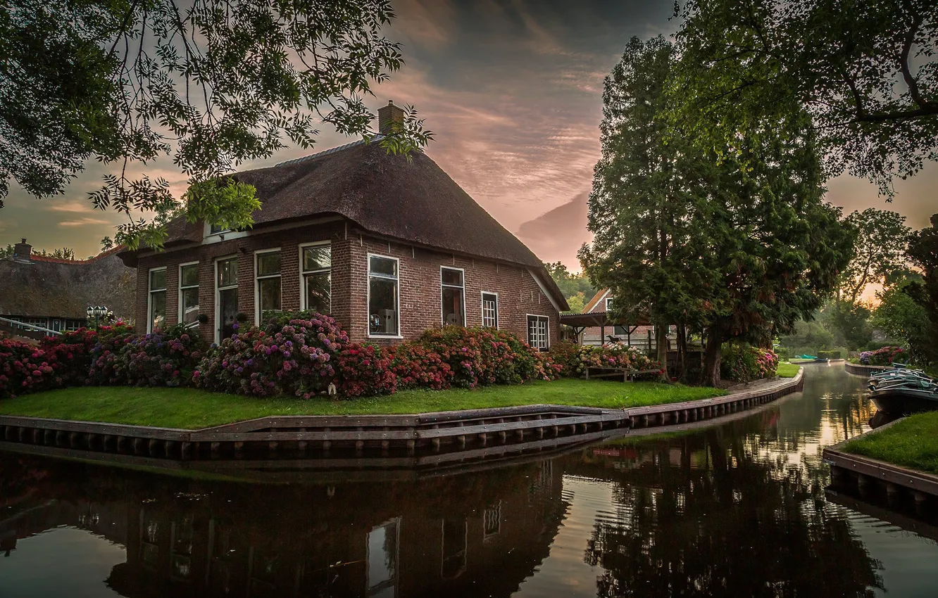 Photo wallpaper summer, the sky, clouds, trees, landscape, flowers, branches, nature