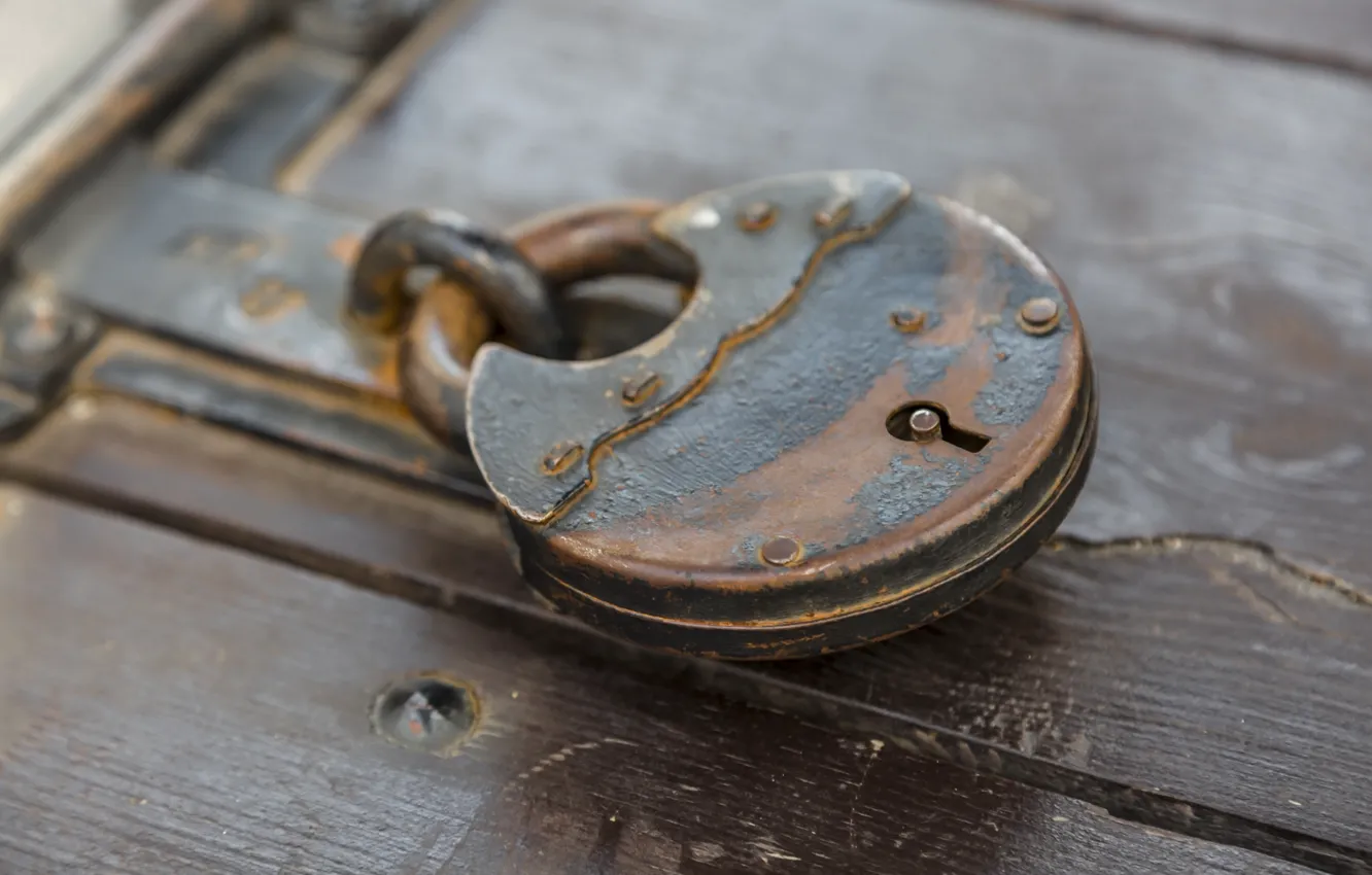 Photo wallpaper macro, background, castle