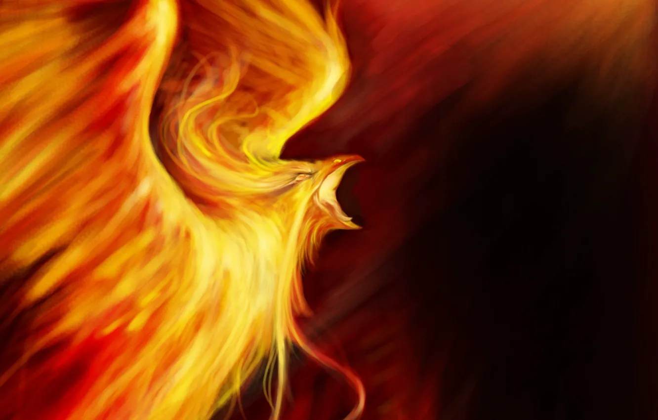 Photo wallpaper fire, bird, fantasy, art, Phoenix