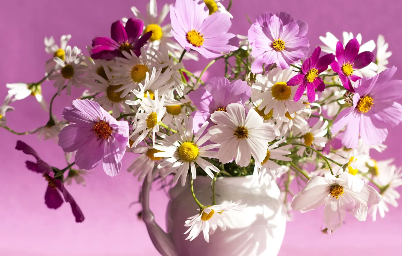 Photo wallpaper flowers, bouquet, kosmeya