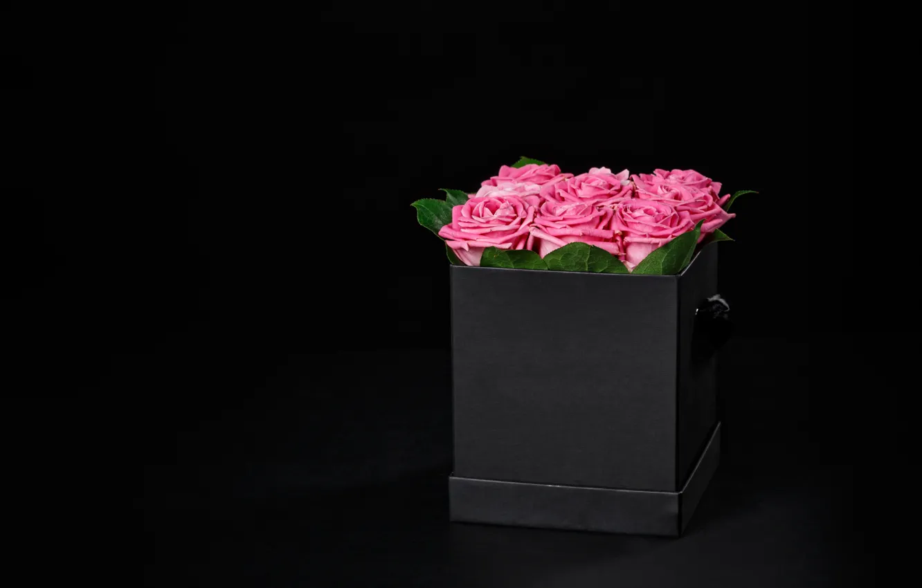 Photo wallpaper box, roses, bouquet, pink, box, flowers, romantic, Maxim Denisenko