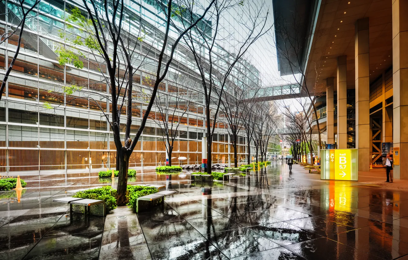 Photo wallpaper city, Japan, Tokyo, Japan, megapolis, Tokio, cityscape, megapolis