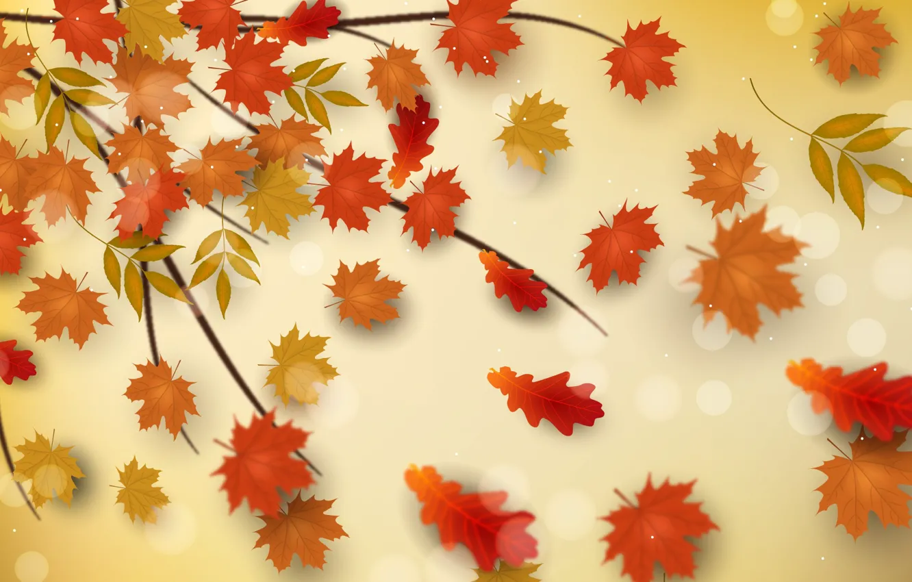Photo wallpaper autumn, leaves, background, branch