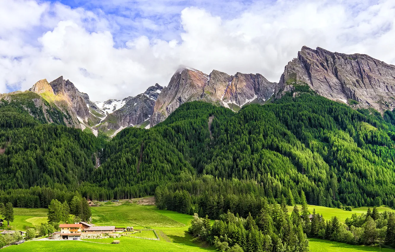 Photo wallpaper forest, trees, mountains, field, Italy, house, Square