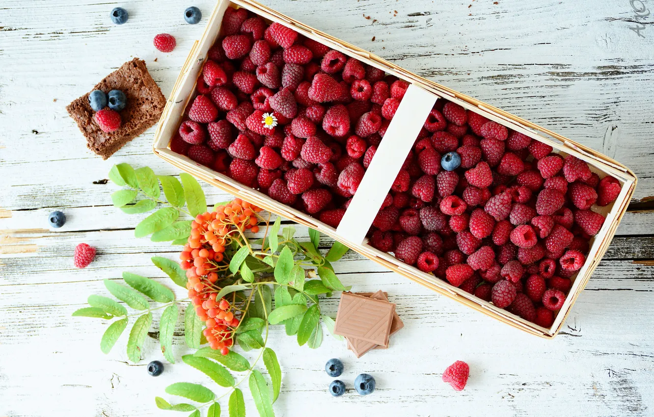 Photo wallpaper raspberry, chocolate, blueberries, Rowan