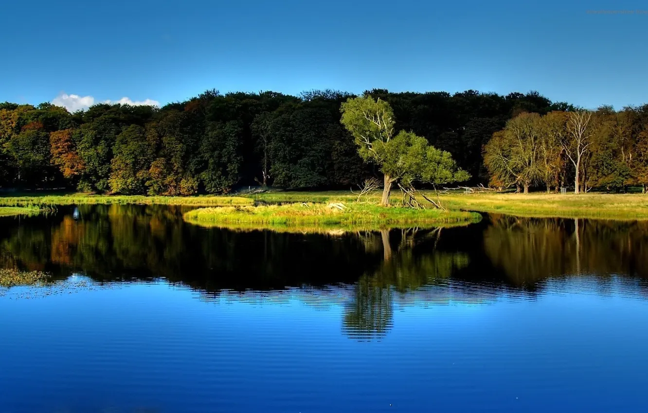 Photo wallpaper autumn, trees, nature, lake, reflection