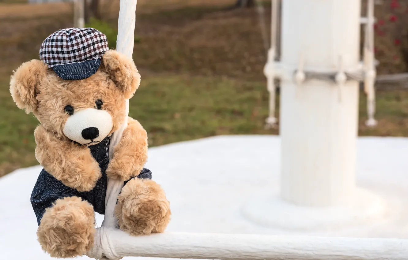 Photo wallpaper toy, bear, bear, teddy, lonely, cute, lonely