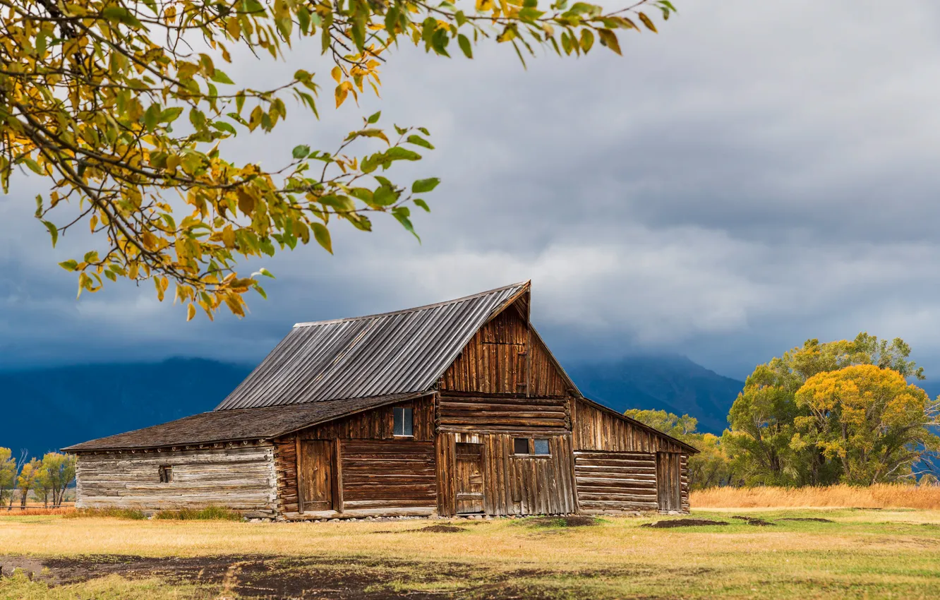 Photo wallpaper field, autumn, the sky, clouds, trees, branches, home, wooden