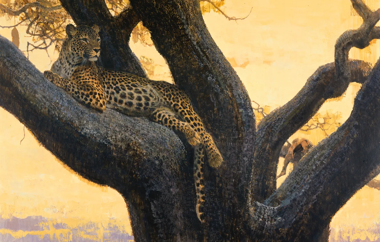 Photo wallpaper cat, tree, stay, predator, picture, branch, art, spot